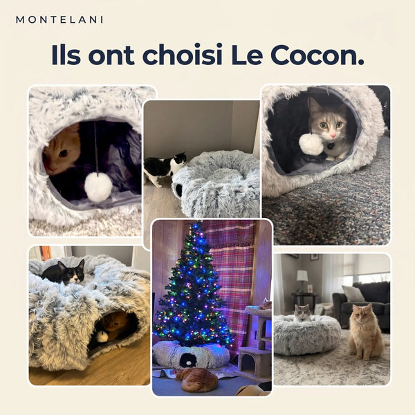Montelani™️ Le Cocon