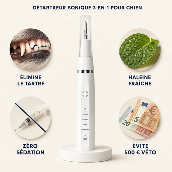 Montelani - Détartreur sonique 3-en-1 pour chien