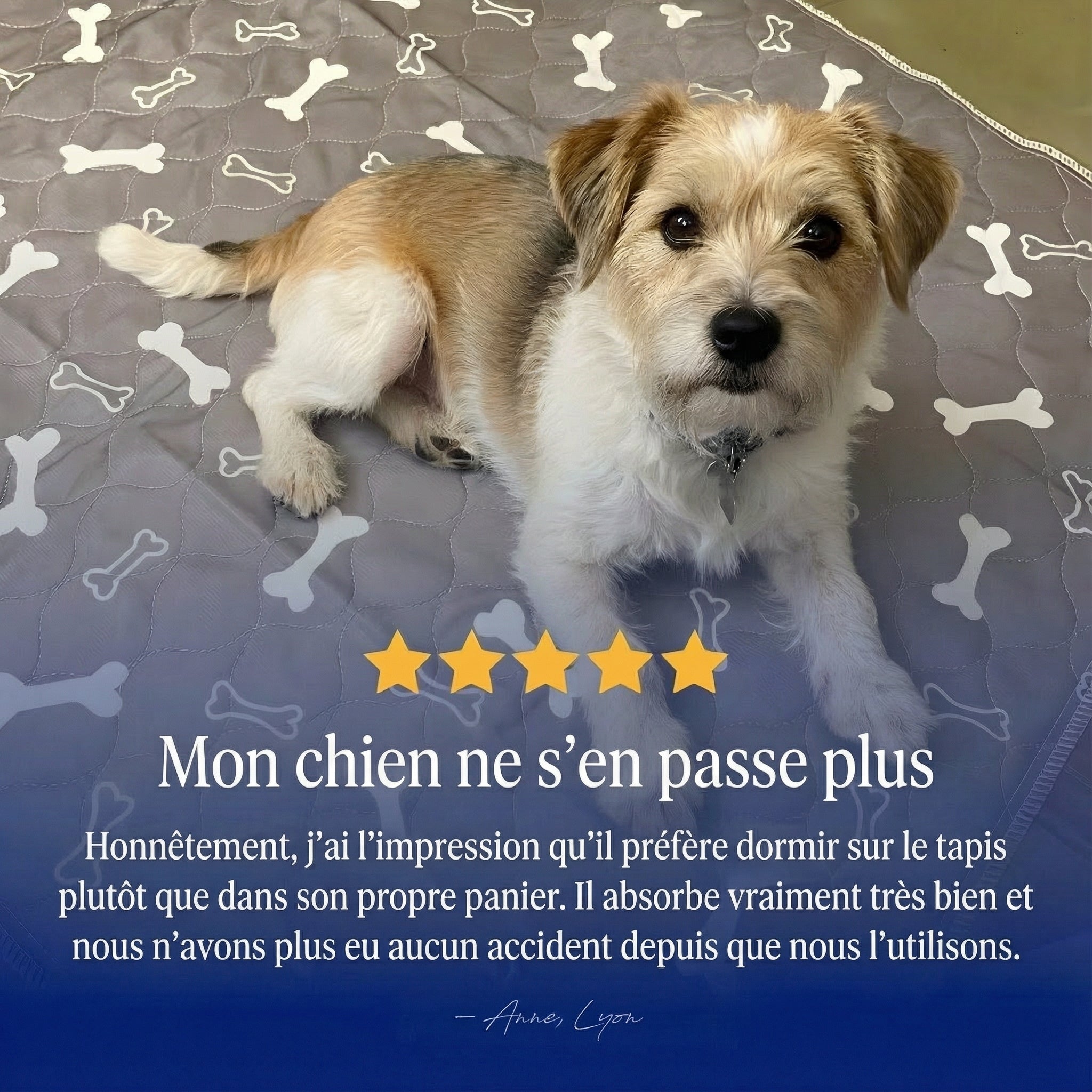 Montelani CleanPaw™