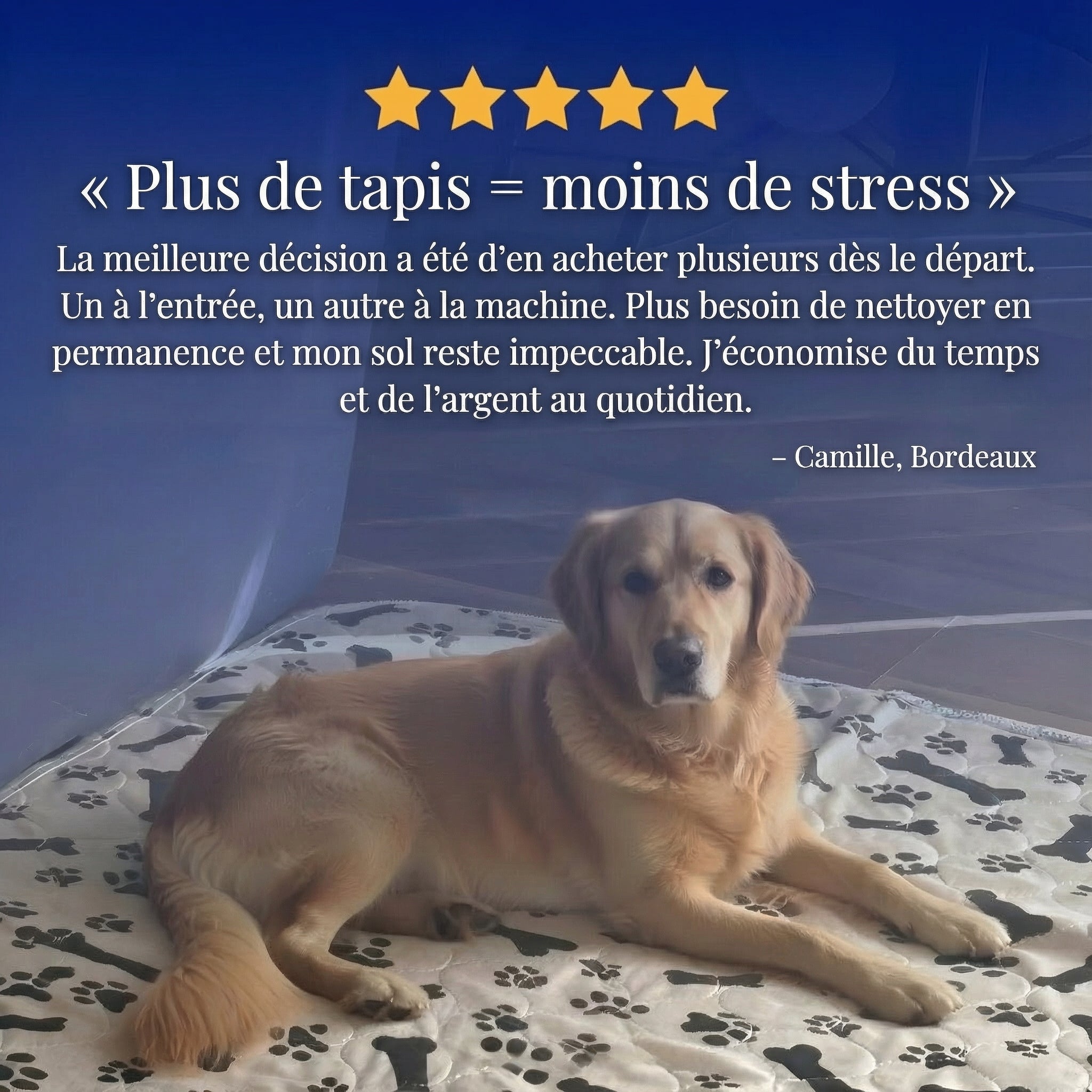 Montelani CleanPaw™