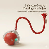 Balle Auto-Active
