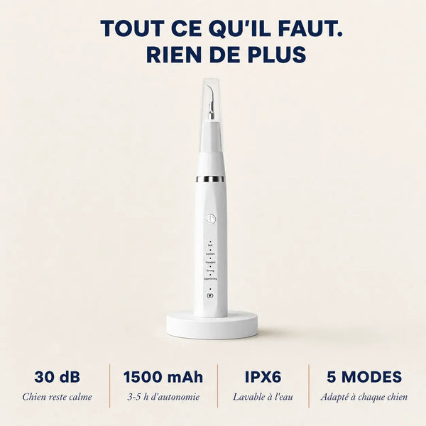 Montelani - Détartreur sonique 3-en-1 pour chien
