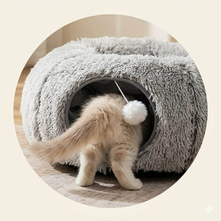 Le chat entre dans Le Cocon